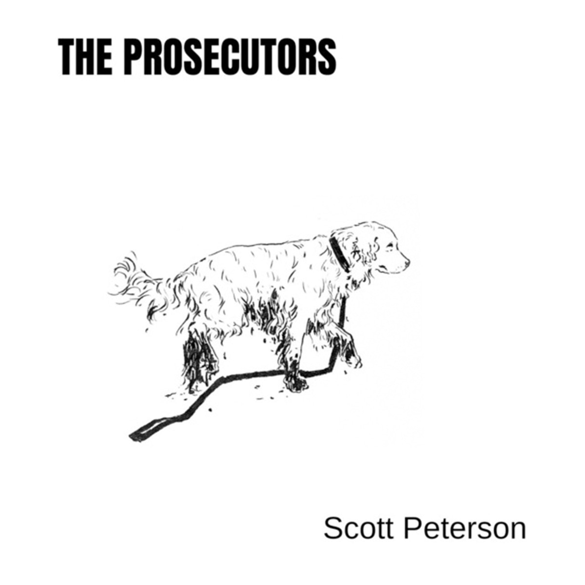 The Prosecutors - Case File Revisited: Scott Peterson 6